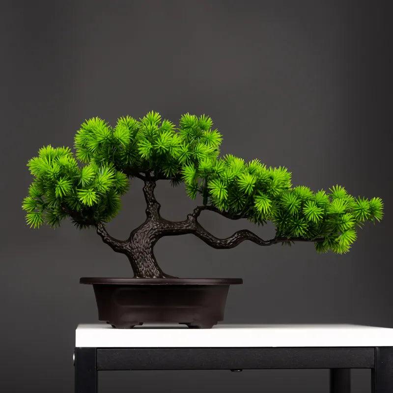 Vaso Bonsai Severus - Multi Principal