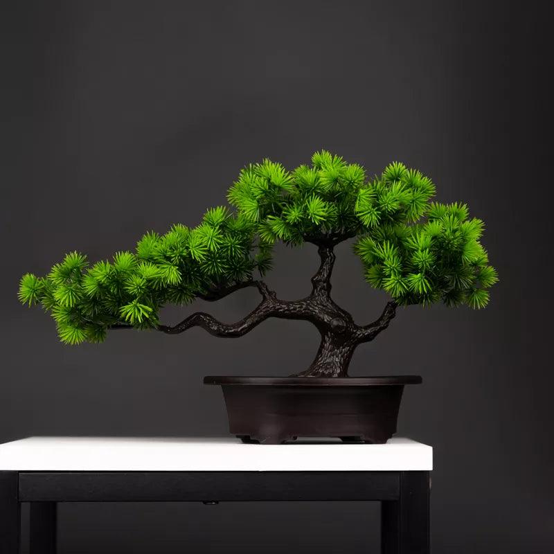 Vaso Bonsai Severus - Multi Principal