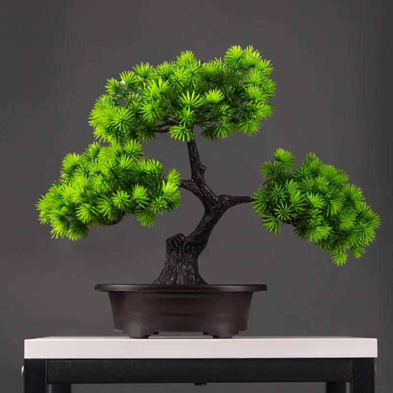 Vaso Bonsai Severus - Multi Principal