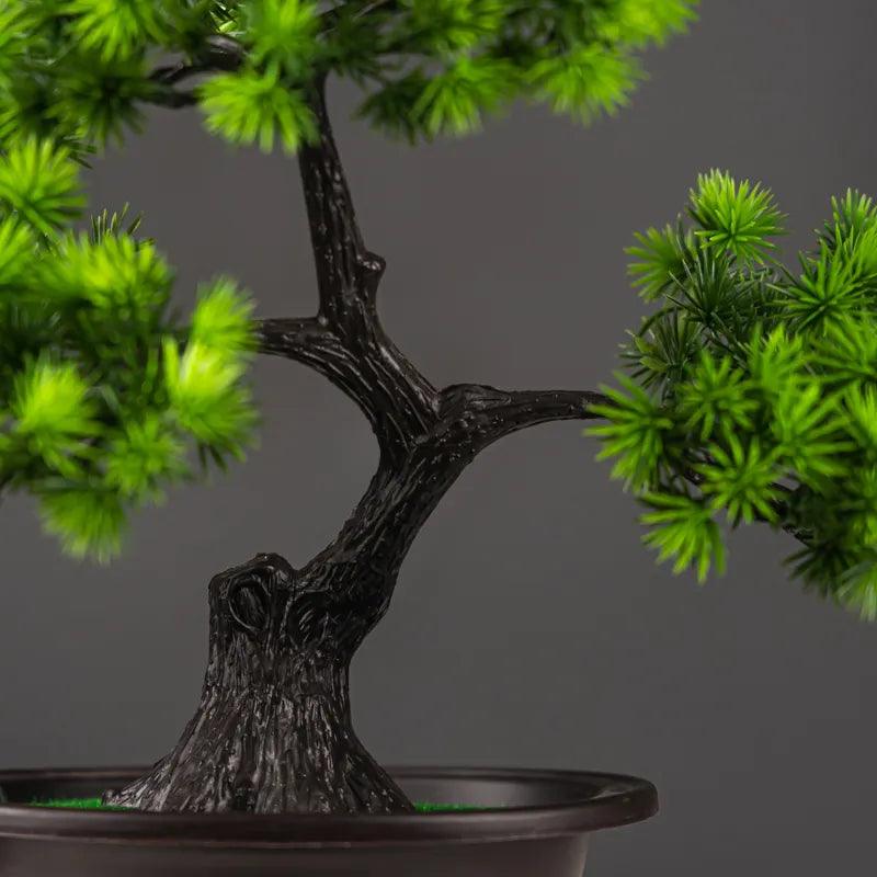 Vaso Bonsai Severus - Multi Principal