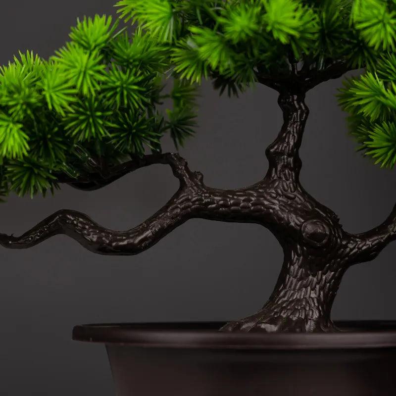 Vaso Bonsai Severus - Multi Principal