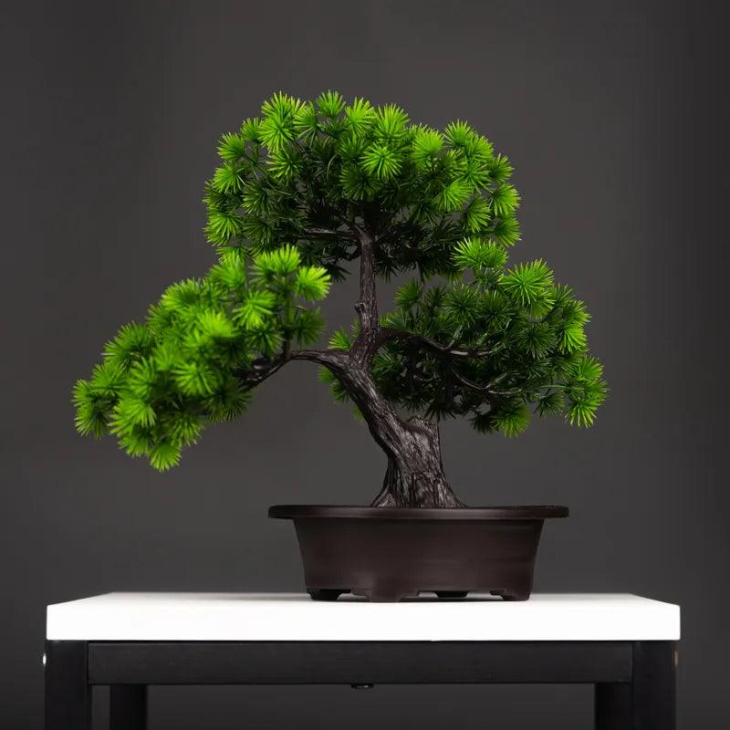 Vaso Bonsai Severus - Multi Principal