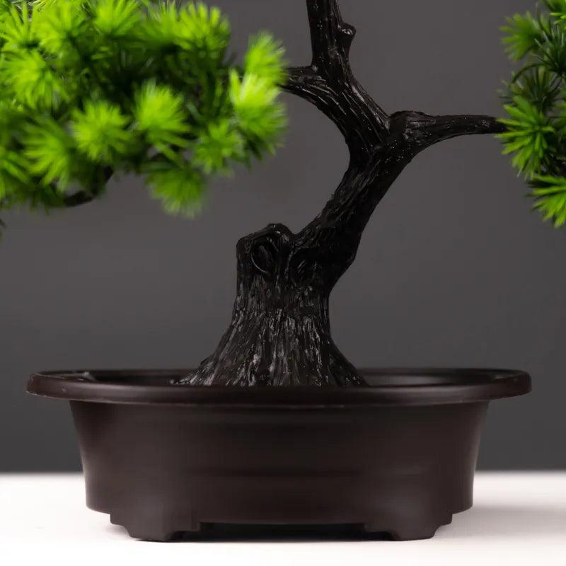 Vaso Bonsai Severus - Multi Principal