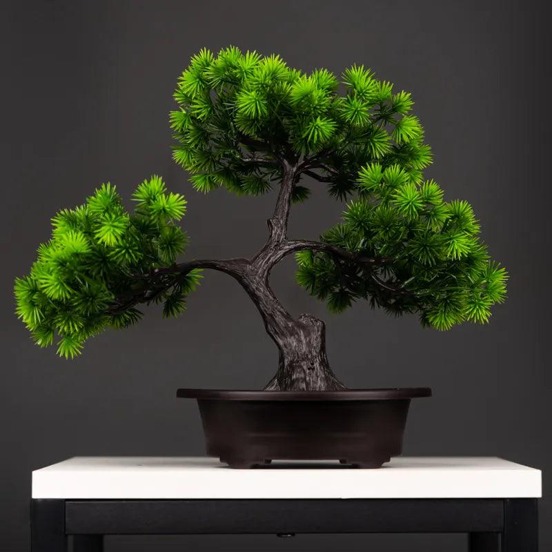 Vaso Bonsai Severus - Multi Principal