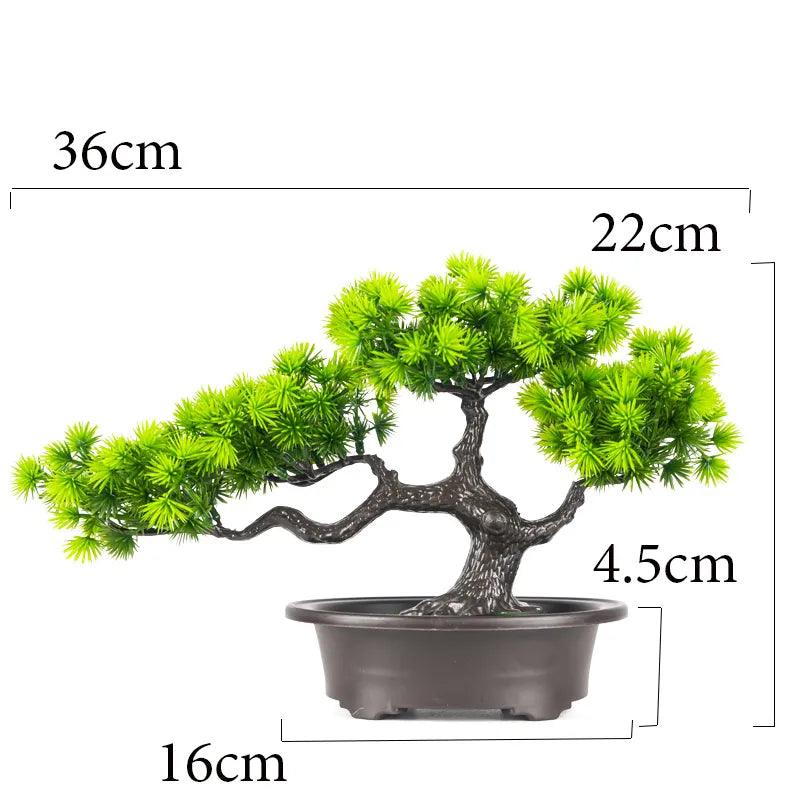 Vaso Bonsai Severus - Multi Principal