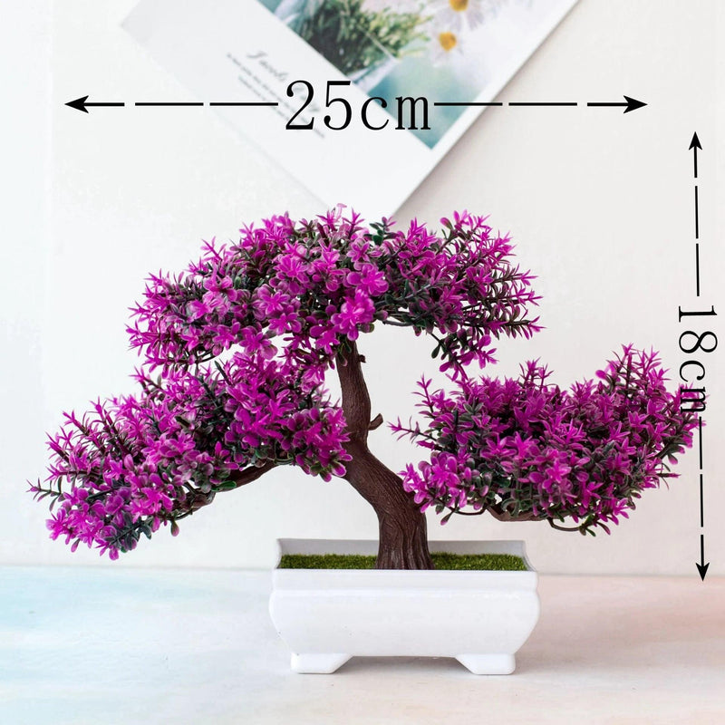 Vaso Bonsai Dojô - Multi Principal